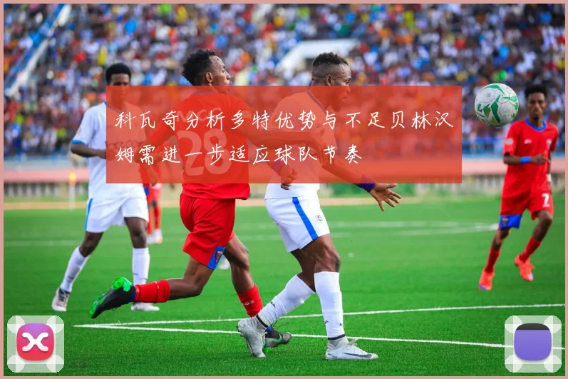科瓦奇分析多特优势与不足贝林汉姆需进一步适应球队节奏